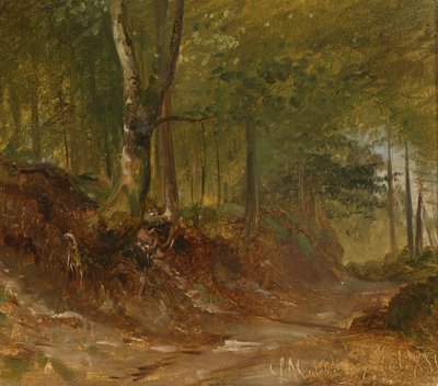 A Forest Path by Ludwig Halauska